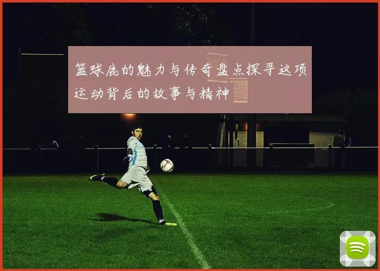 篮球鹿的魅力与传奇盘点探寻这项运动背后的故事与精神