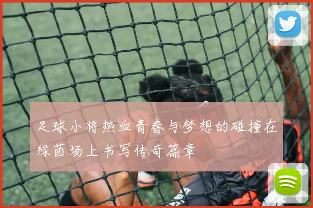 足球小将热血青春与梦想的碰撞在绿茵场上书写传奇篇章