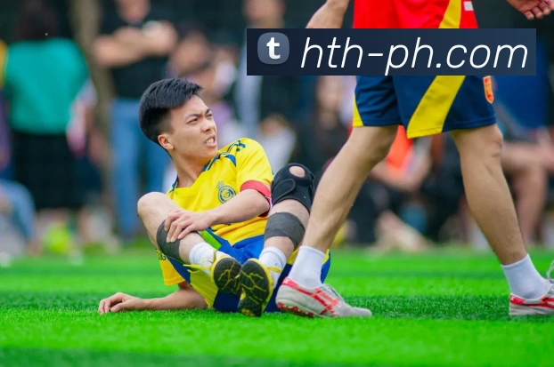 中国版APP全站App